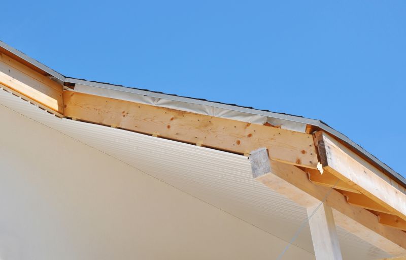 Garage Fascia Repair in Conroe, TX